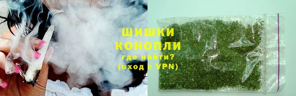 ПСИЛОЦИБИНОВЫЕ ГРИБЫ Коряжма
