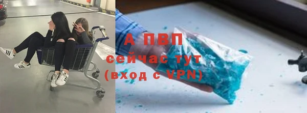 ПСИЛОЦИБИНОВЫЕ ГРИБЫ Коряжма