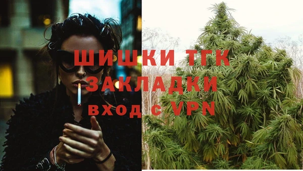 прущие крисы Корсаков
