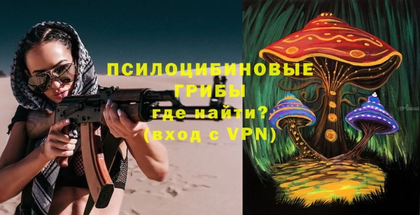 ПСИЛОЦИБИНОВЫЕ ГРИБЫ Коряжма