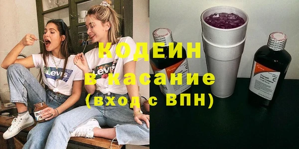 ГАЛЛЮЦИНОГЕННЫЕ ГРИБЫ Кодинск