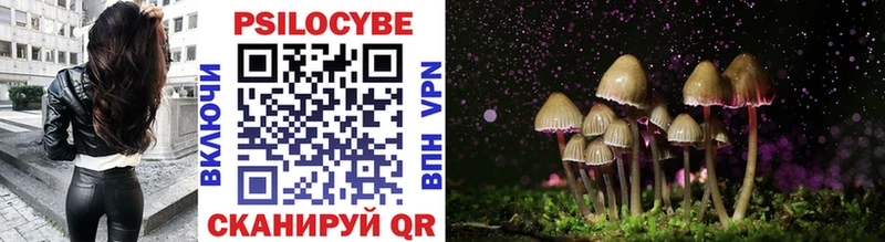 Псилоцибиновые грибы Psilocybine cubensis  Карталы 
