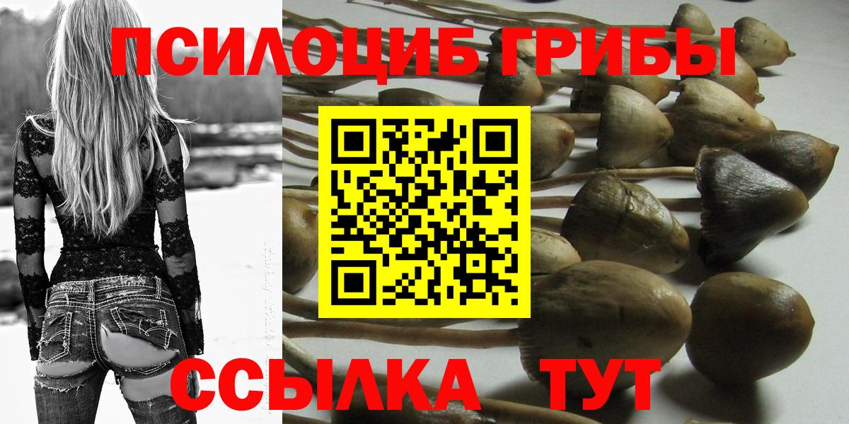 магазин продажи наркотиков  Вход с VPN  Карталы  Псилоцибиновые грибы Psilocybine cubensis 