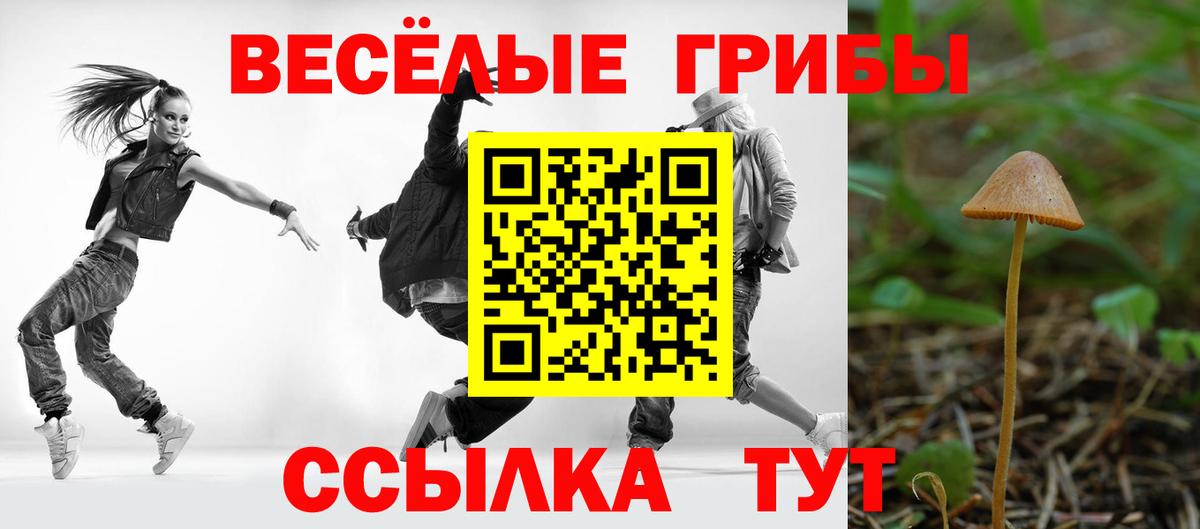 Галлюциногенные грибы ЛСД Карталы